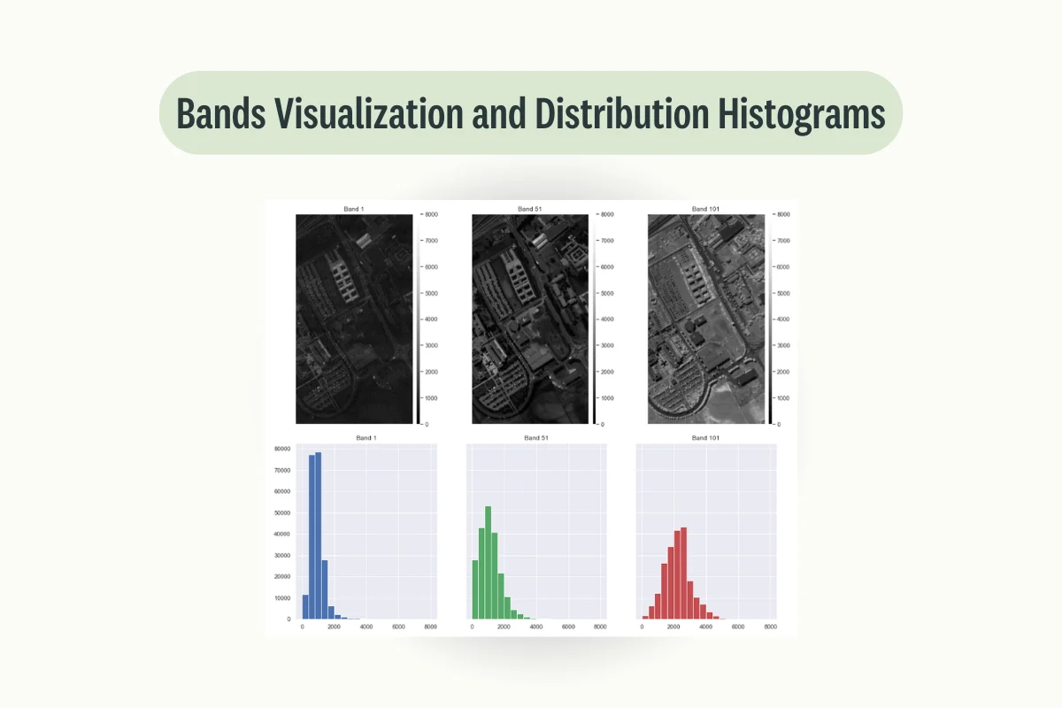 bands-visualization-and-distribution-histograms