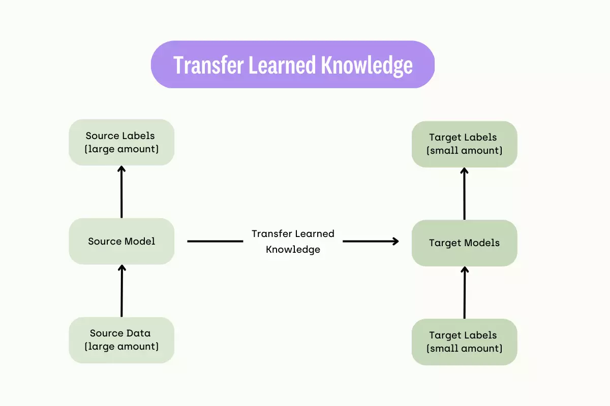 what-is-transfer-learning