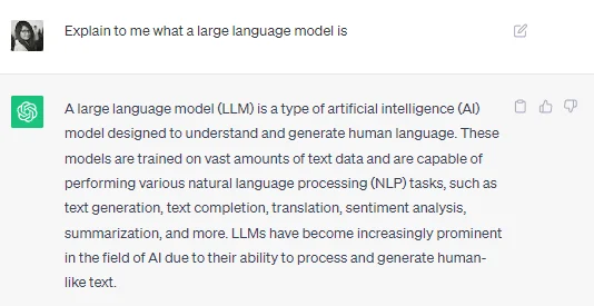 llm-hallucination-example-2