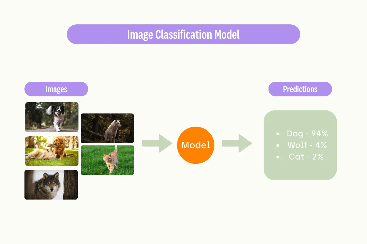 image-classification