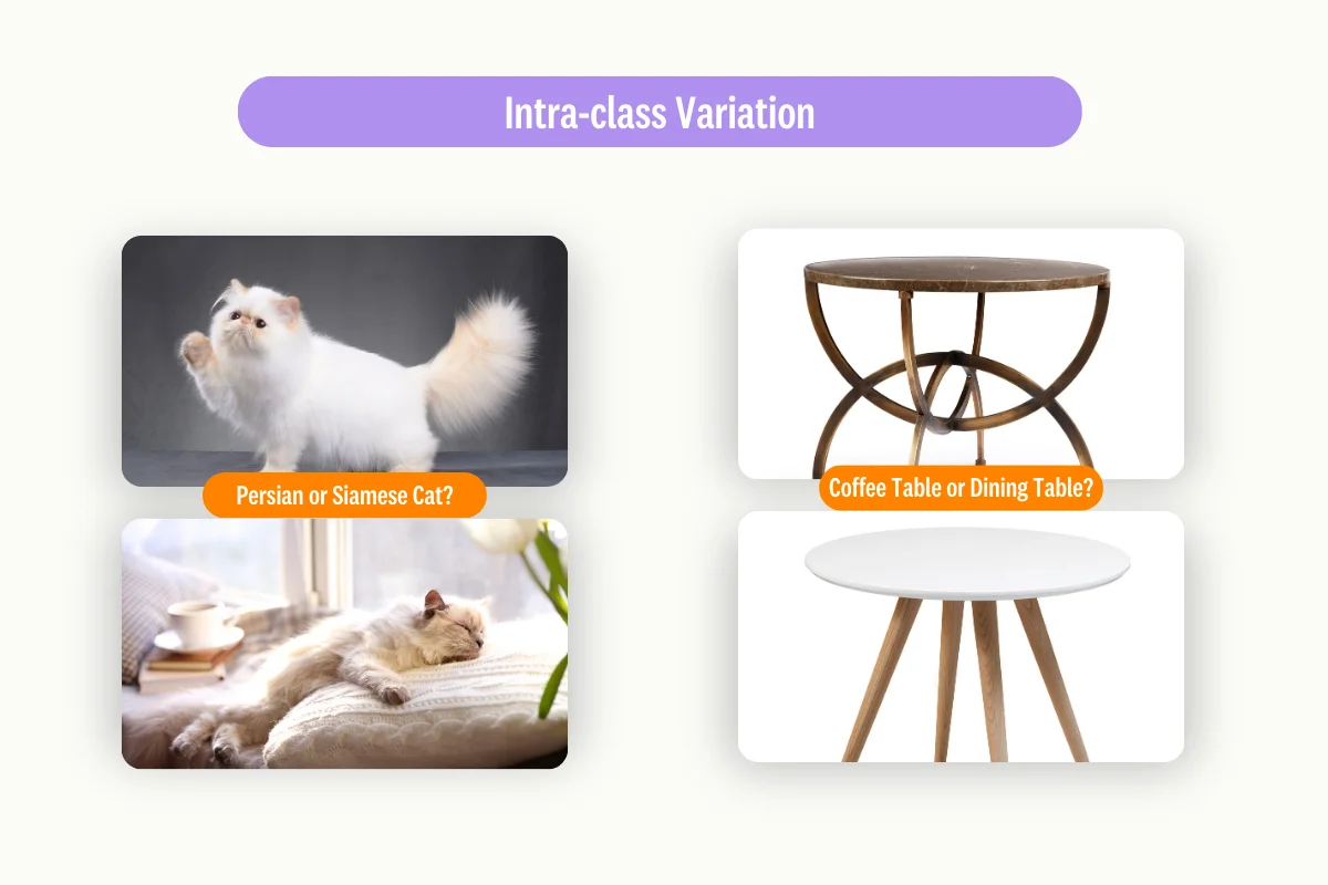 intra-class-variation