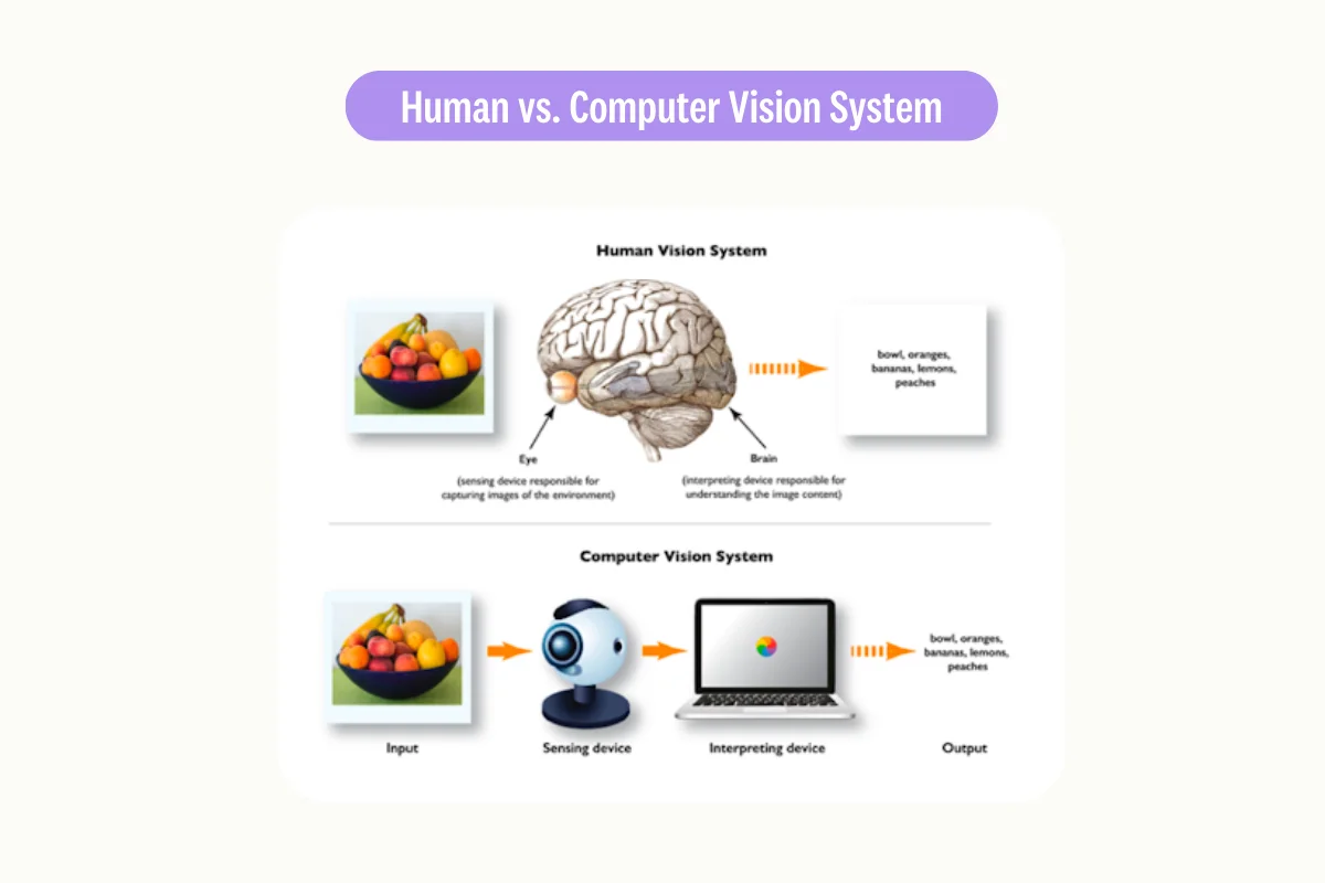 Human vision system VS computer vision system