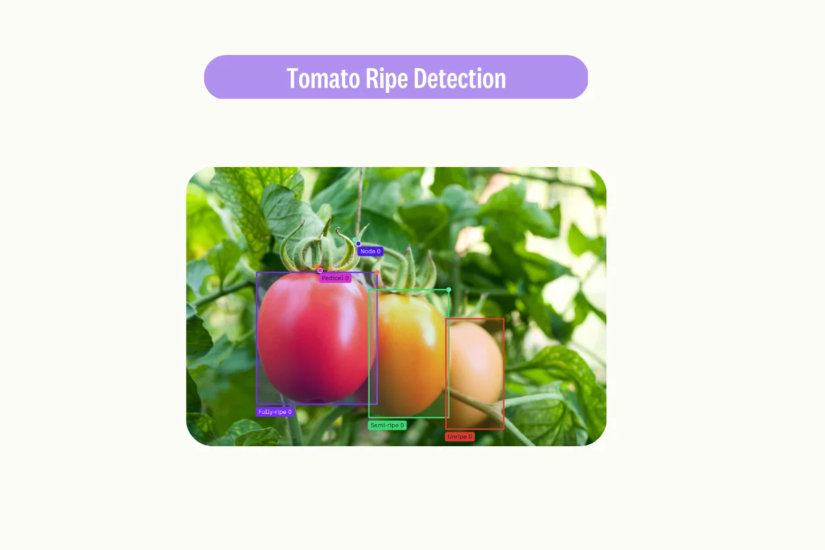 Tomato ripe detection with computer vision application