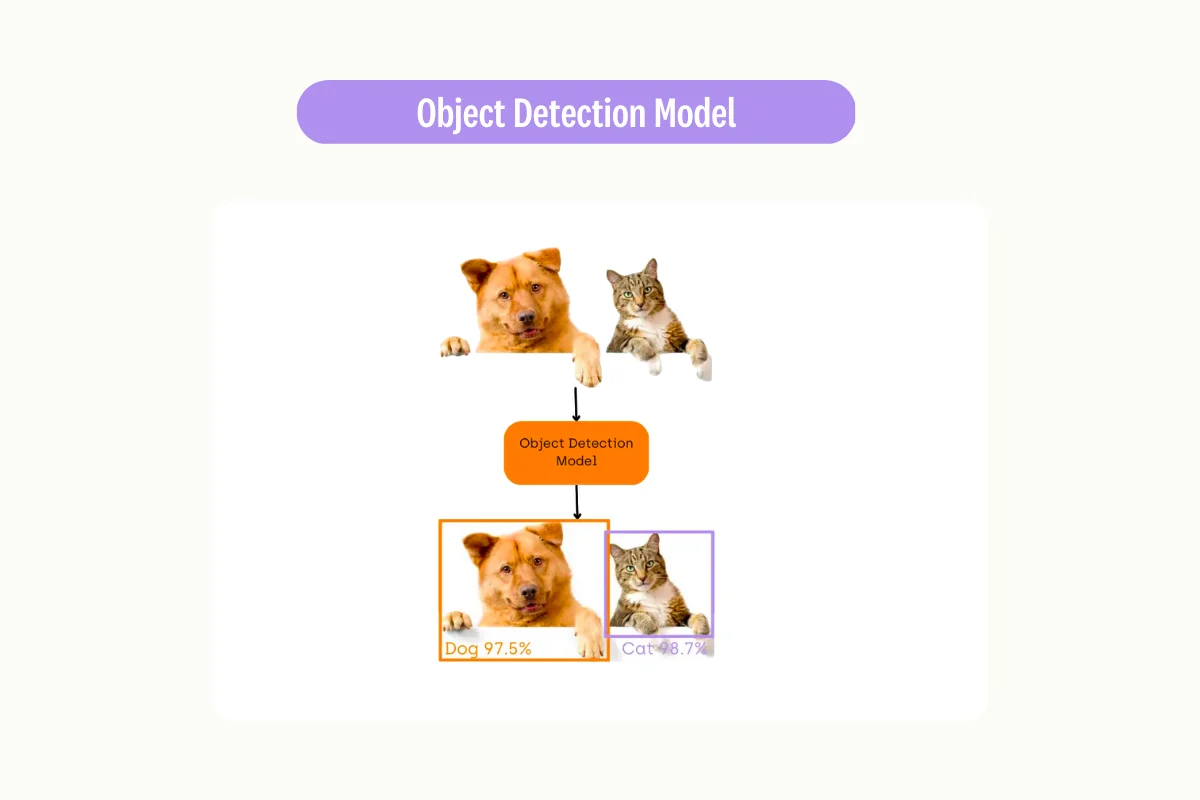 Image classification with computer vision application