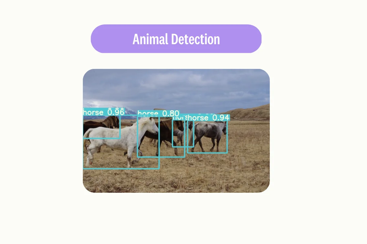 Horses detection with computer vision application
