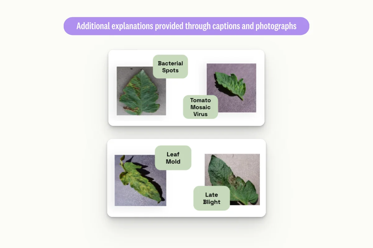 Additional-explanations-are-provided-through-captions-and-photographs