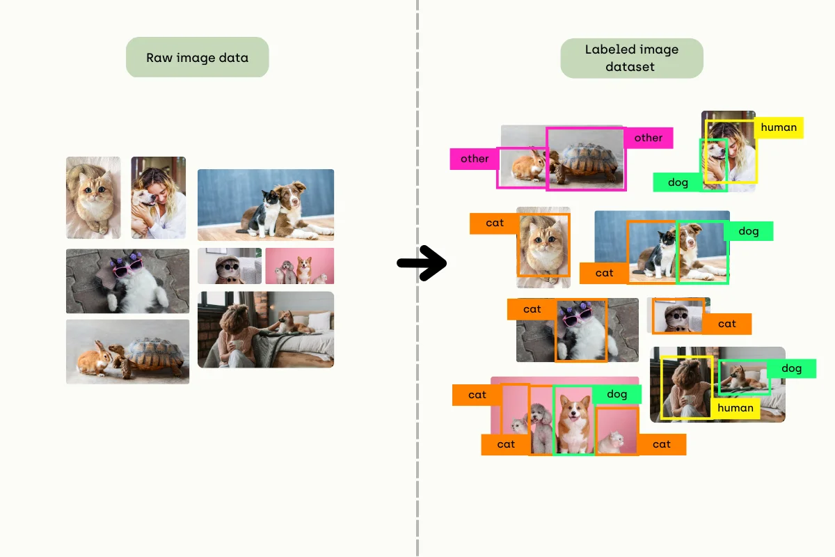 labeled-images-from-raw-image