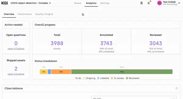 analytics-overview-from-the-kili-technology-platform-interface