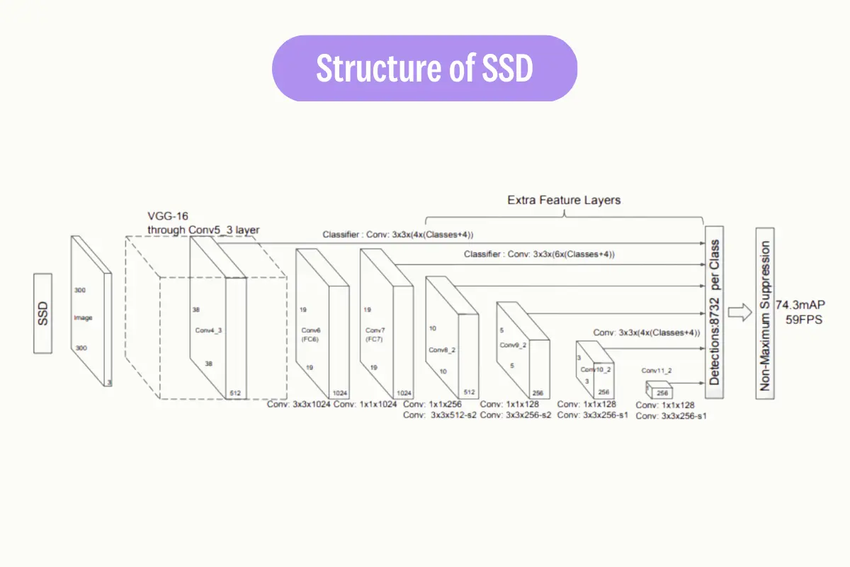 Structure -of-SSD