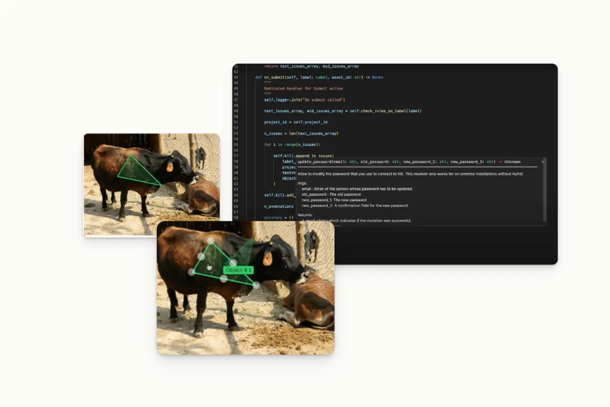 programatically-spotting-errors-using-kili-technology
