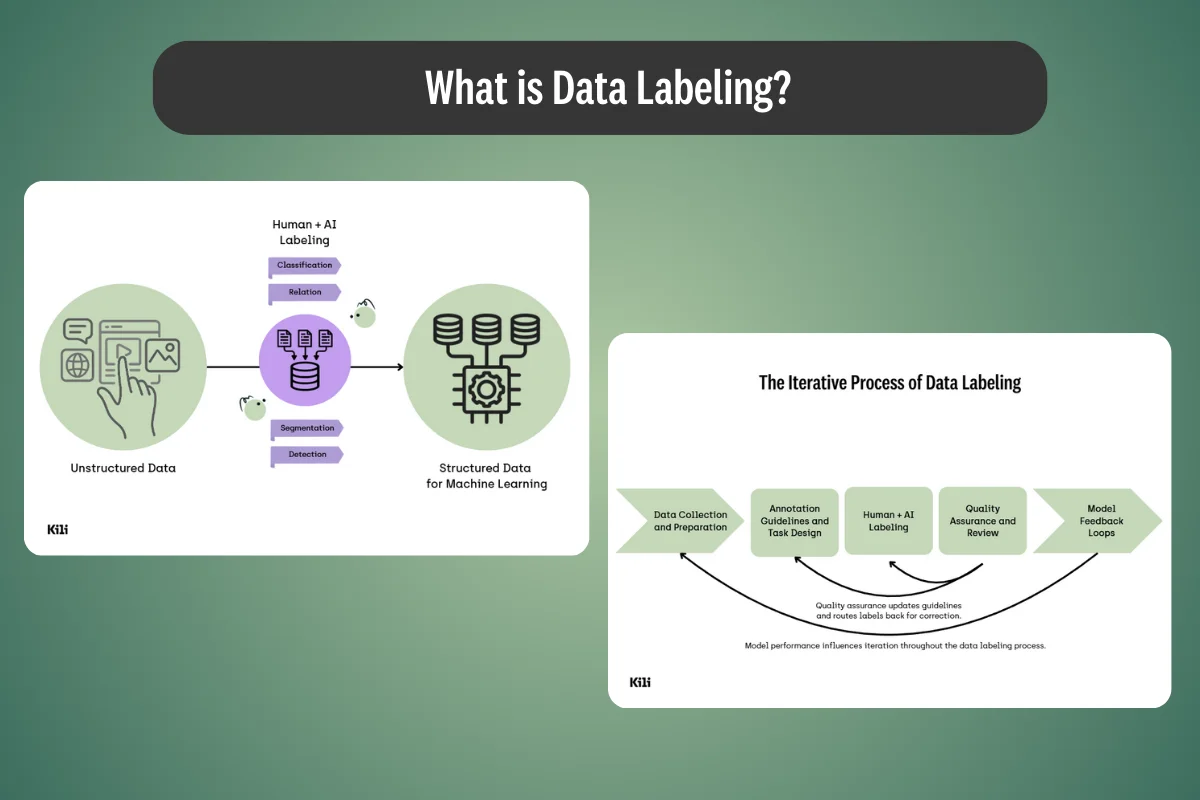 Fundamentals: What Is Data Labeling? A Clear Guide to Understanding Its Importance