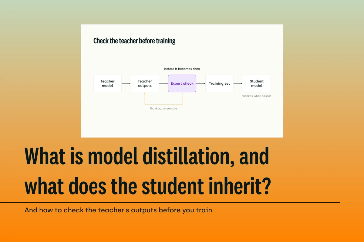 Model Distillation Explained: What the Student Inherits, Including the Teacher's Mistakes