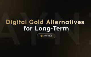 Digital Gold Alternatives for Long-Term Investors