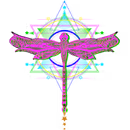 Esoteric Agency DragonFly