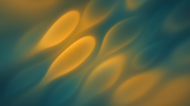 What your mitochondria reveal about your real health