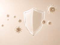 NK Cell Therapy