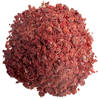 Spice Sample, Sumac ORGANIC