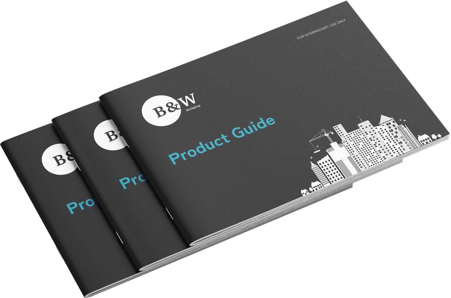 Product Guide | Black and White Bridging, Truly Transparent Lending.