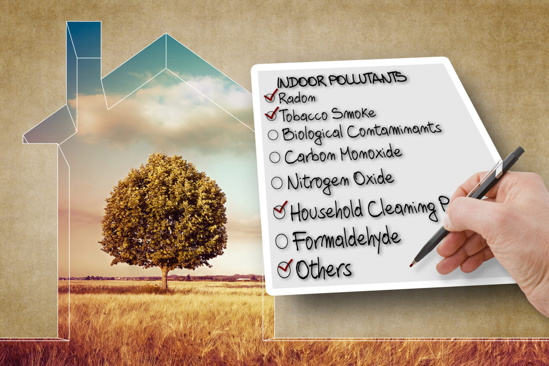 10 Ways To Improve The Air Quality In Your Home