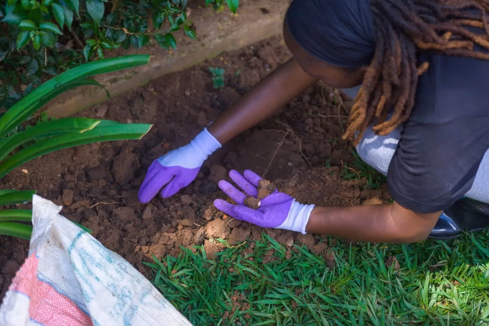 A woman prepares the ground to plant a new tree