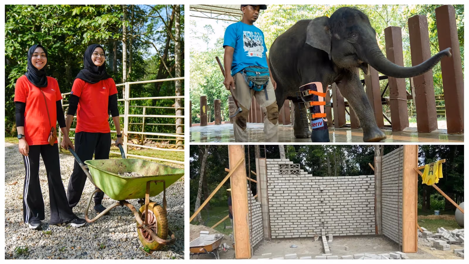 A collage of Deriv’s CSR efforts, featuring volunteers at a conservation site, an elephant wearing a Deriv-branded prosthetic leg, and a community construction project.