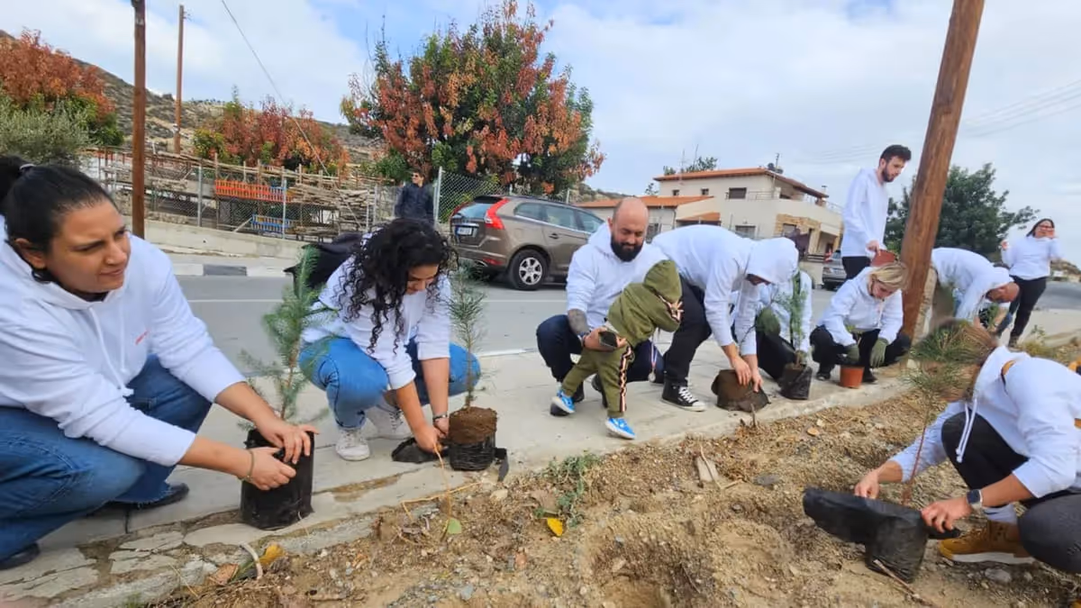 Deriv employees planting trees as part of the reforestation CSR project