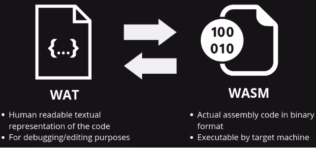 writing assembly code infographic