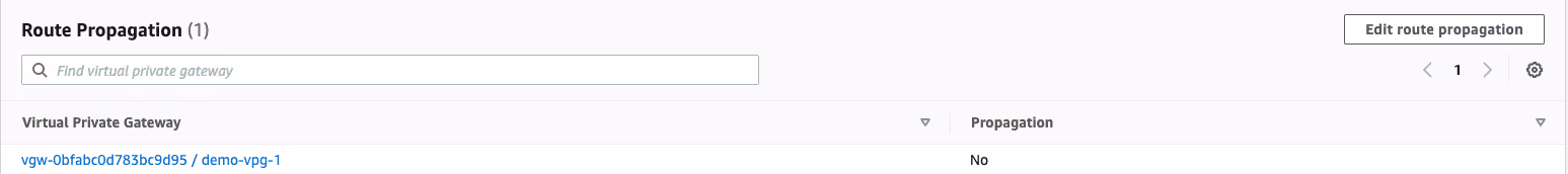 Screen showing VPN route propogation