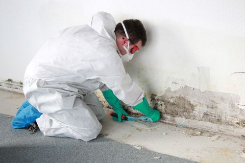 image of vehicle diagnostic tools