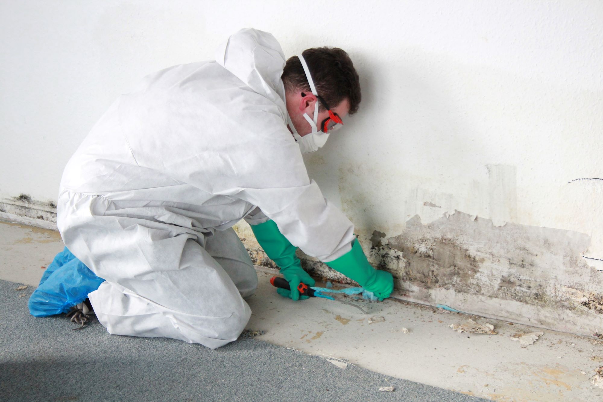 image of vehicle diagnostic tools