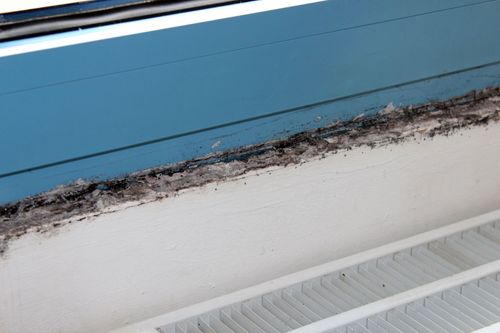 image of tools used in different services (for a automotive service)