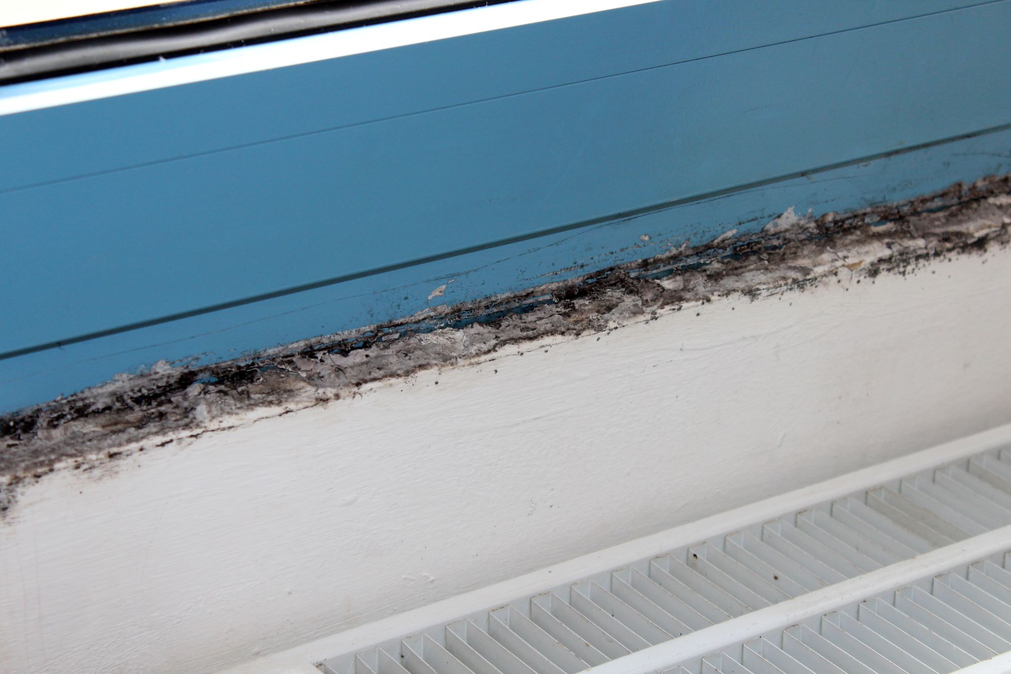 image of tools used in different services (for a automotive service)