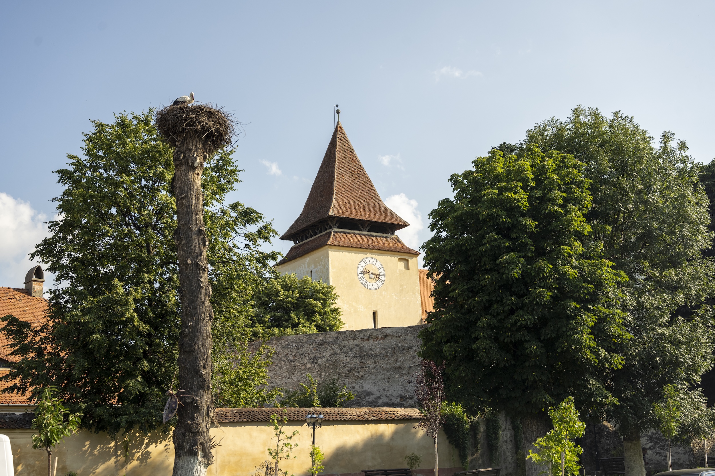 Rumänien – ein Land zwischen Geschichte und Hoffnung