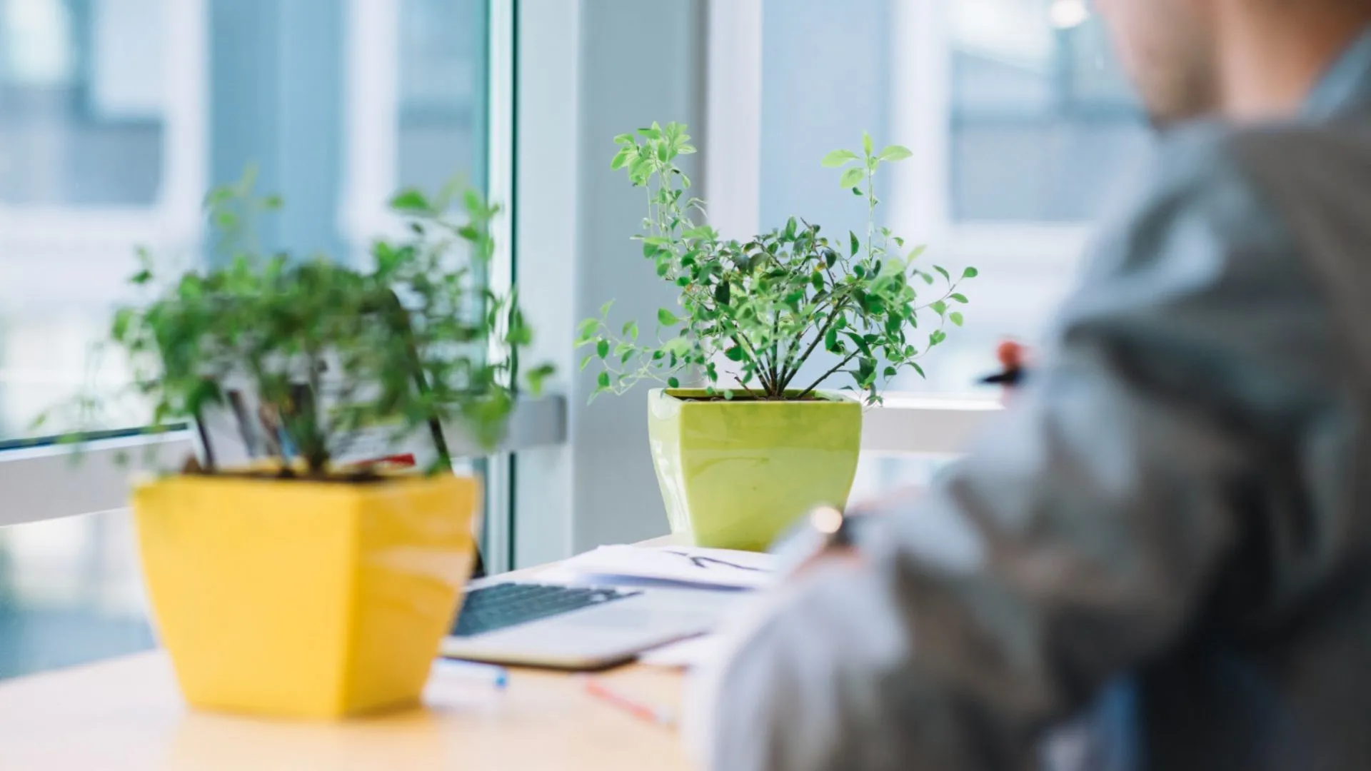 River Audit & Consulting