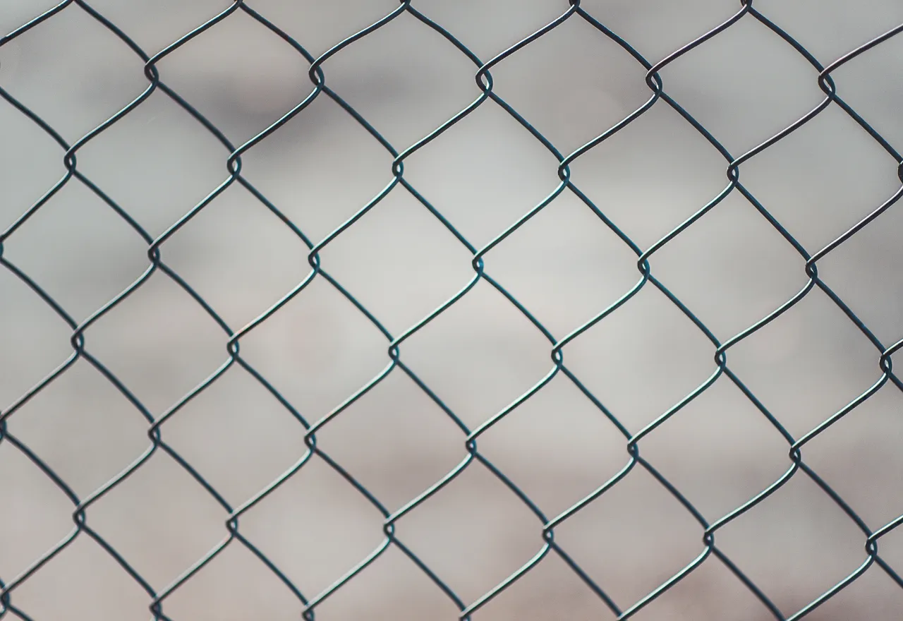 Verkkoaita sopii myös koira aidan rakentamiseen