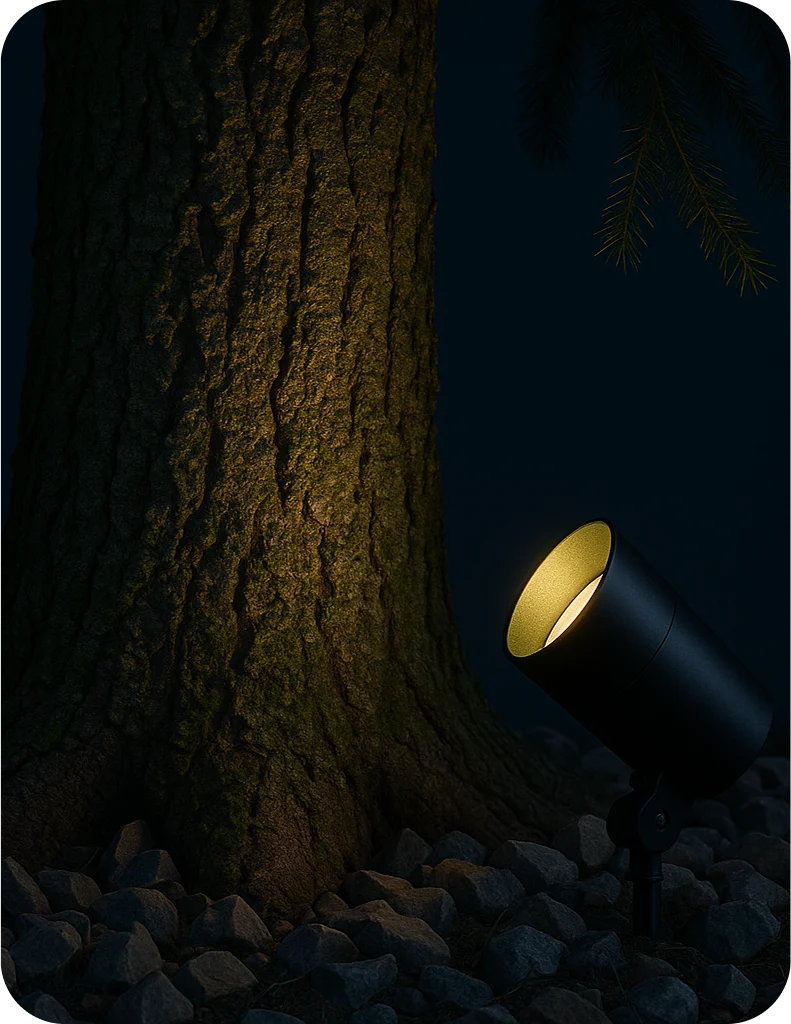 Services Lighting photo