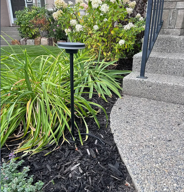 A product image