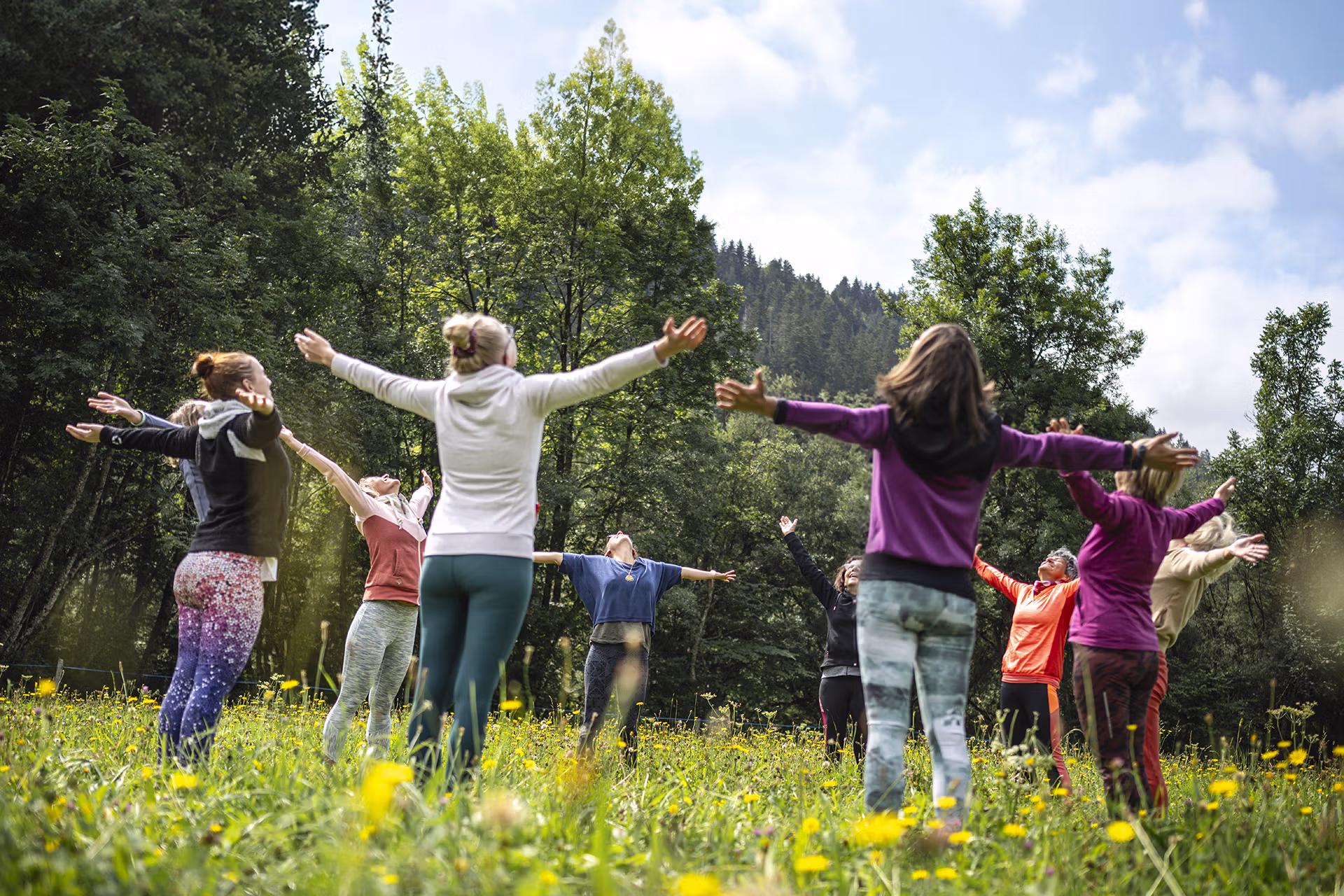 Groupe, Nature, Yoga, Loisirs