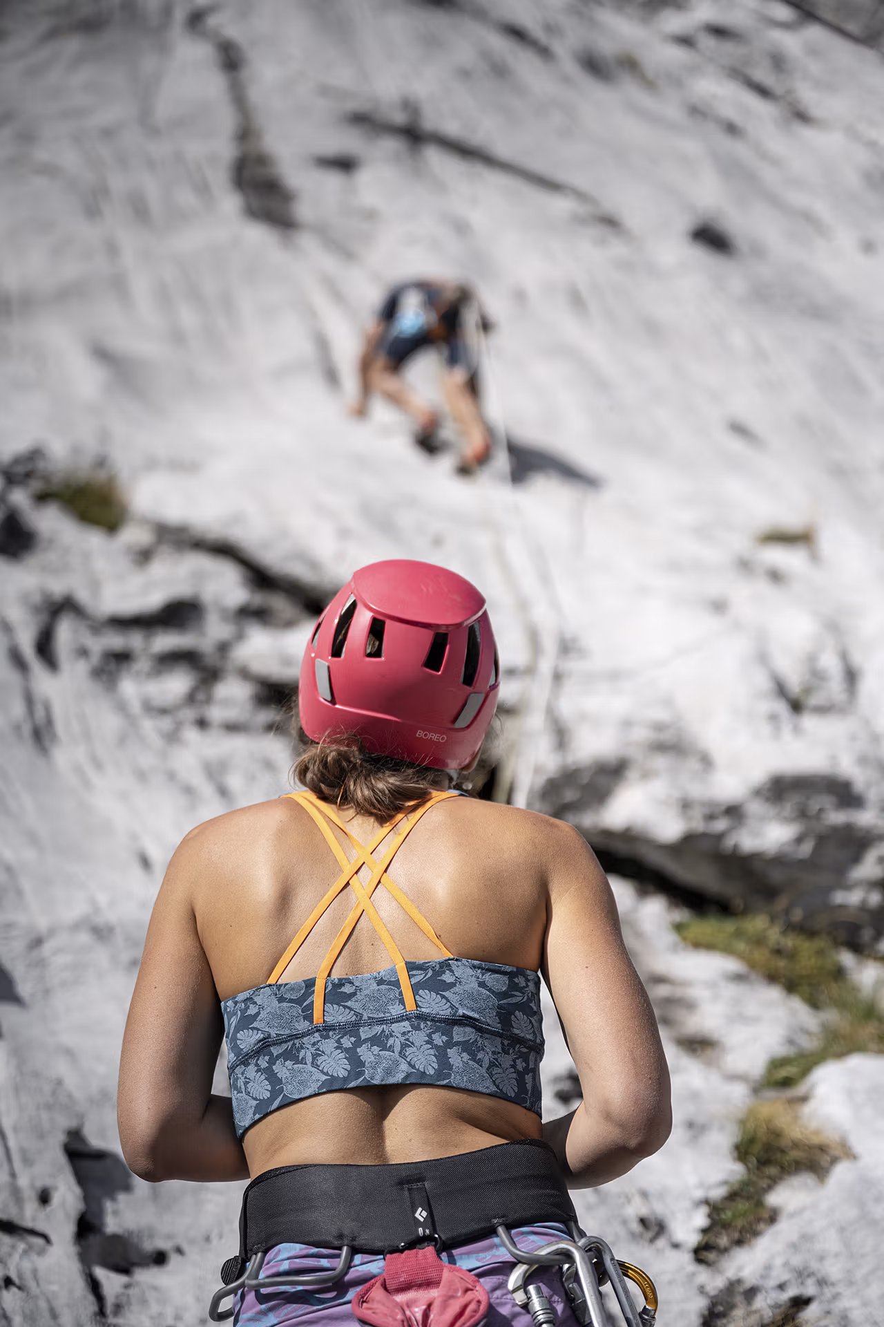 Sport, Escalade, Nature, Loisirs