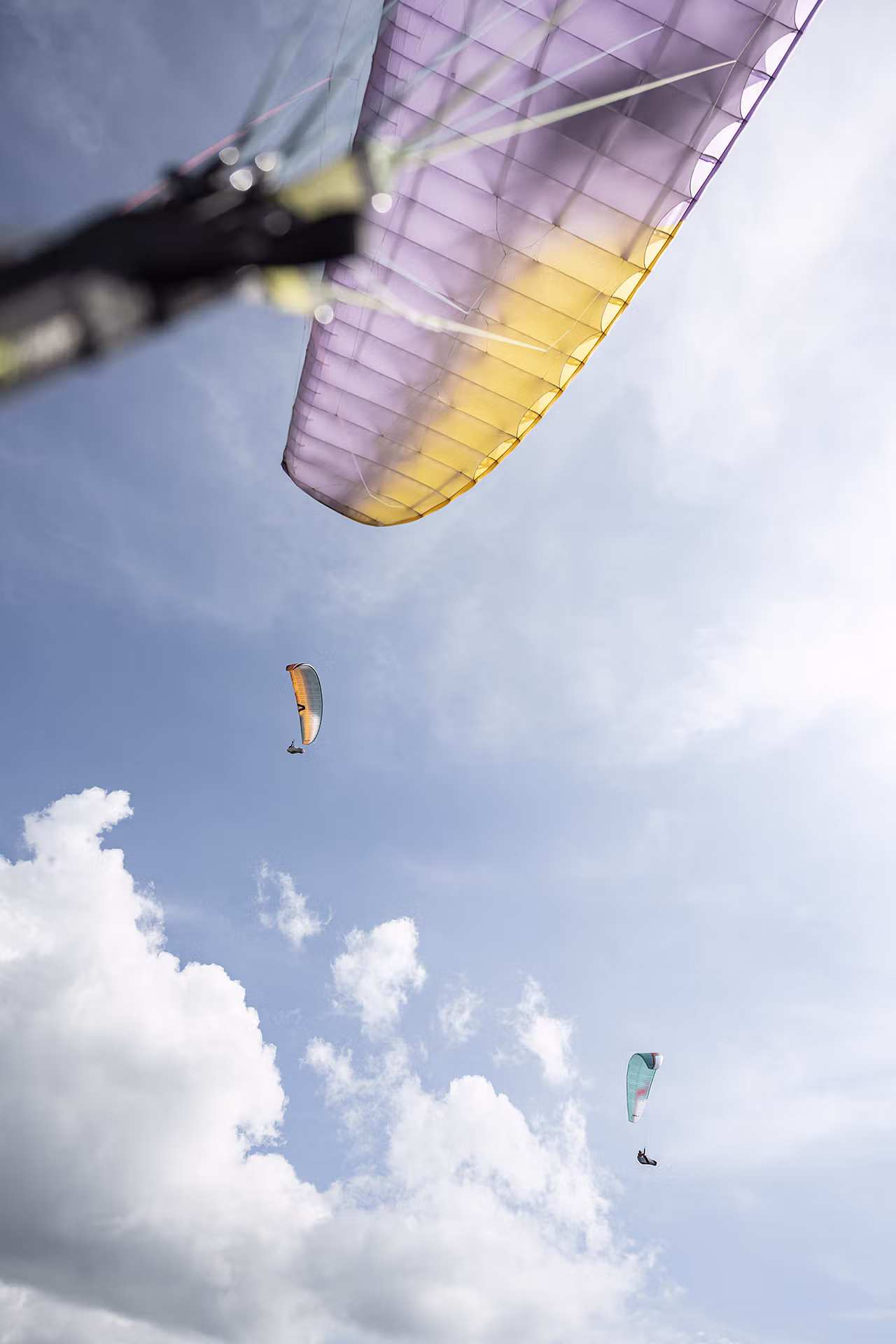 Tourisme, Sport, Parapente