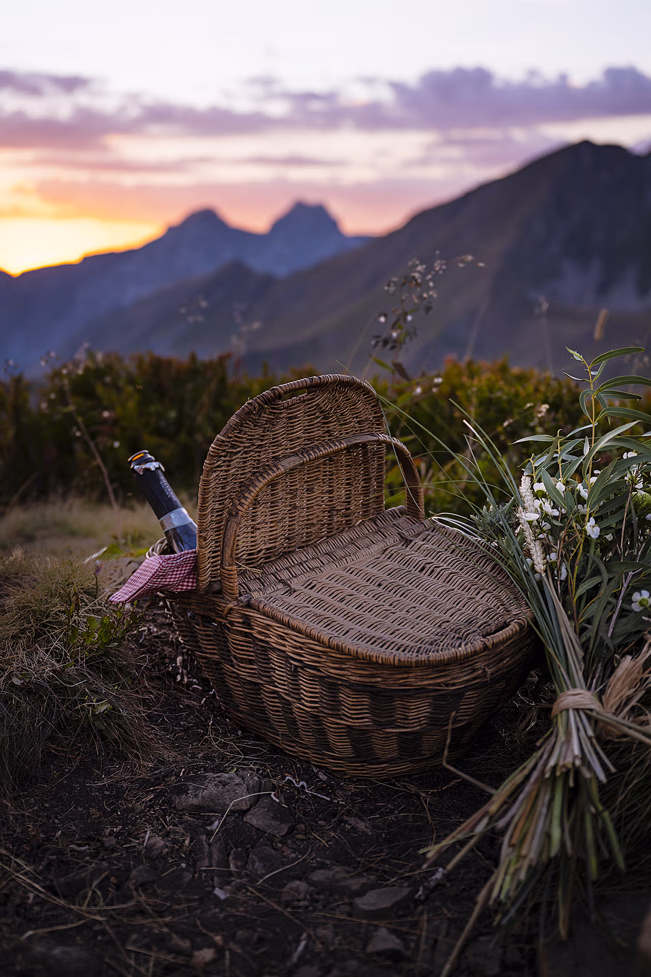 Nature, Amis, Tourisme, Mariage