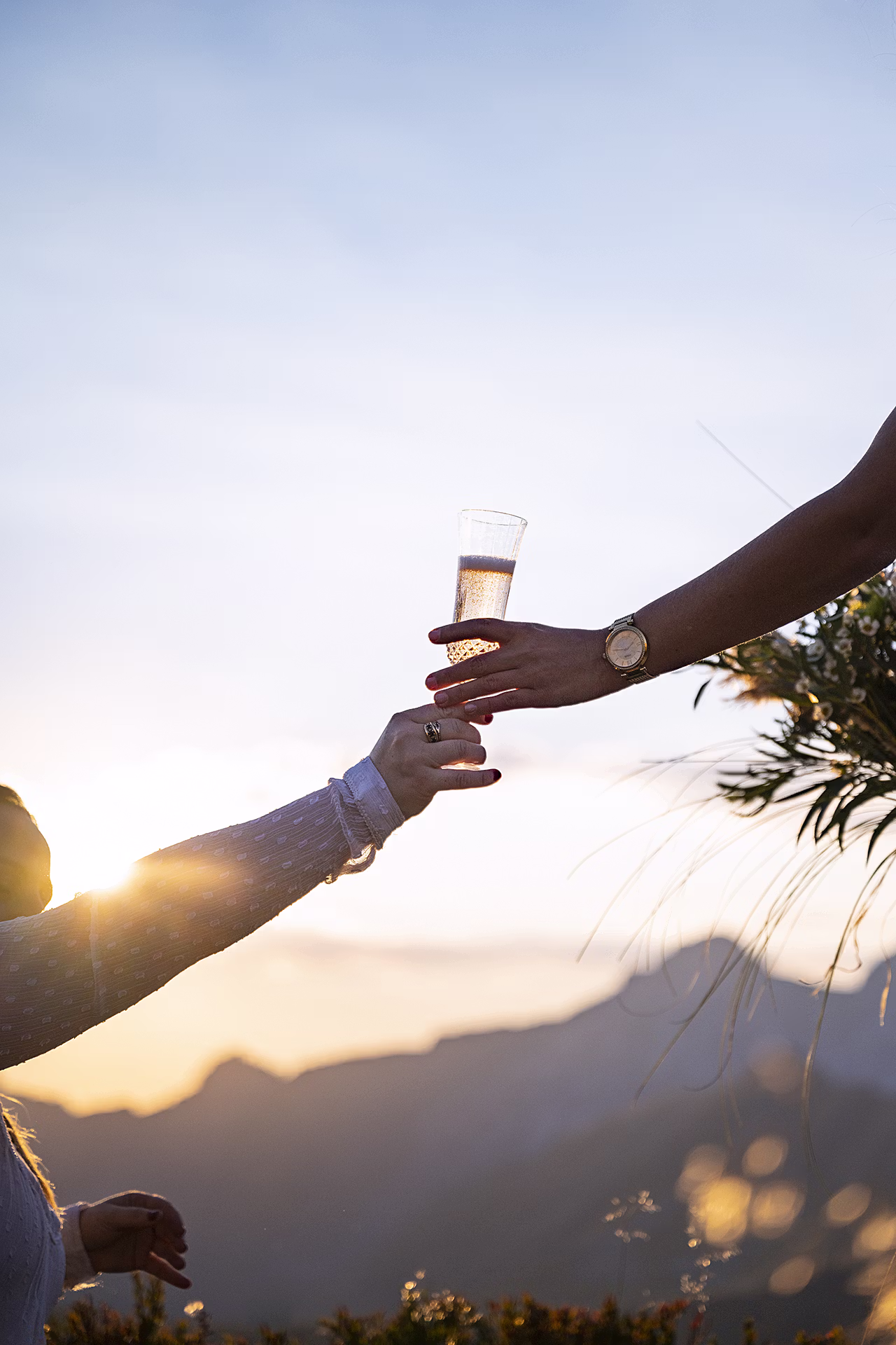 Nature, Amis, Tourisme, Mariage