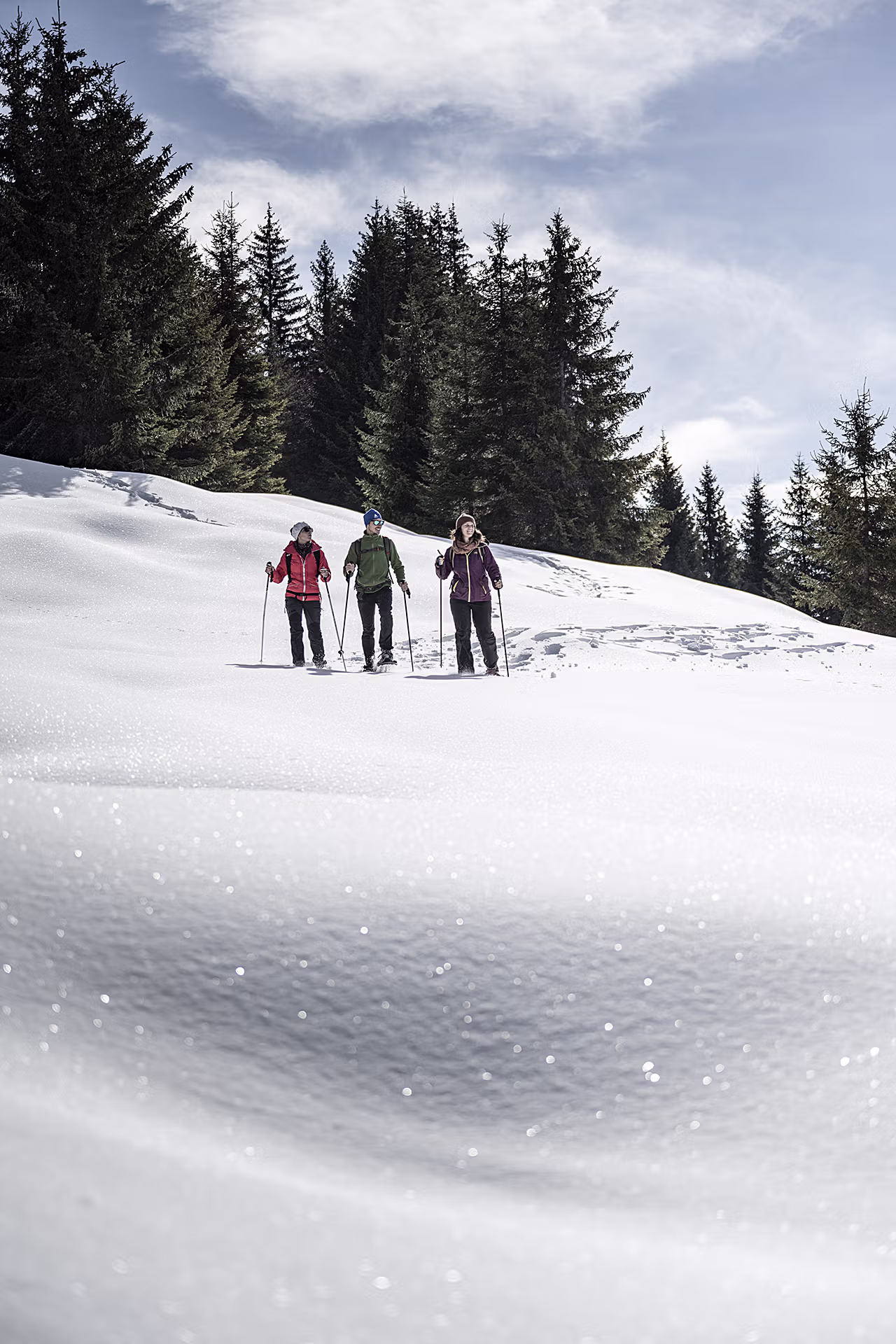 Raquettes, Sport, Hiver, Loisirs, Neige, Amis