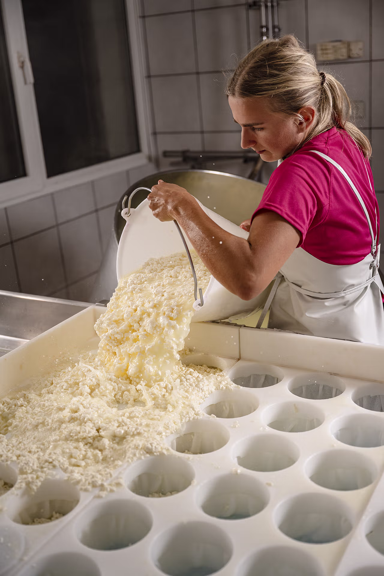 Reblochon, Artisanat, Fromage, Agriculture