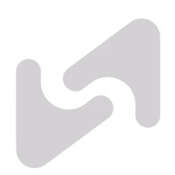 256x256 Silvr Logo