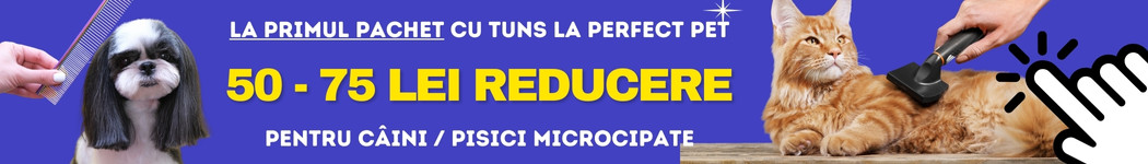 Reducere la primul pachet cu tuns