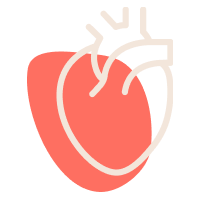 Anatomically correct heart icon