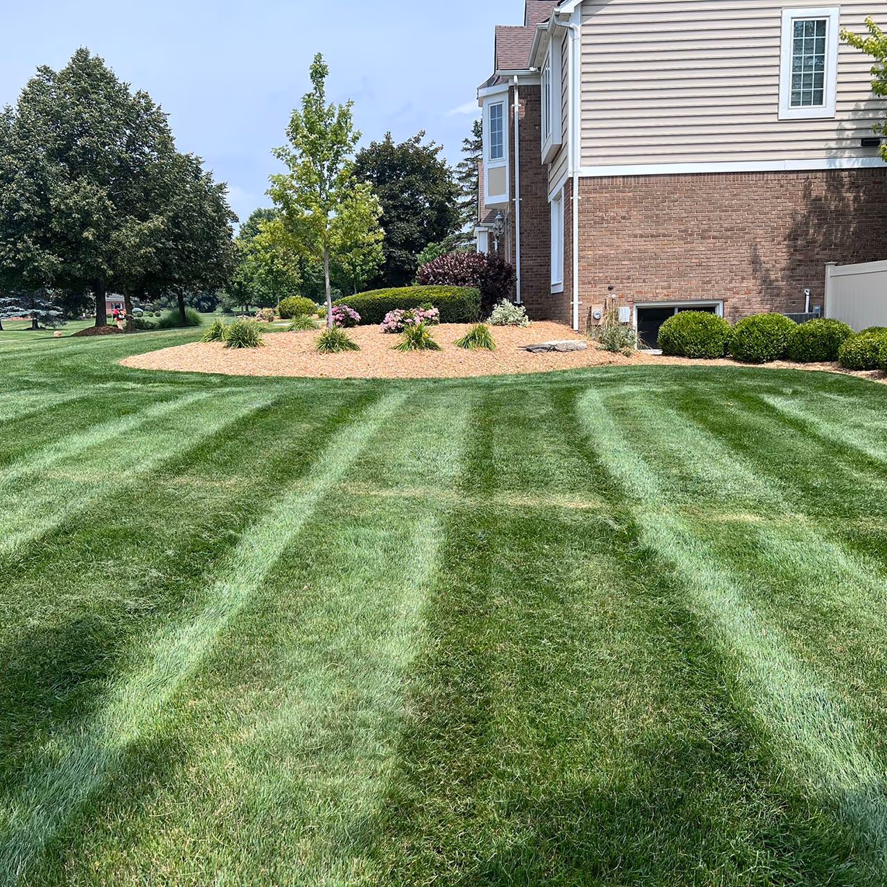 Healthy green lawn turf care Metro Detroit Michigan