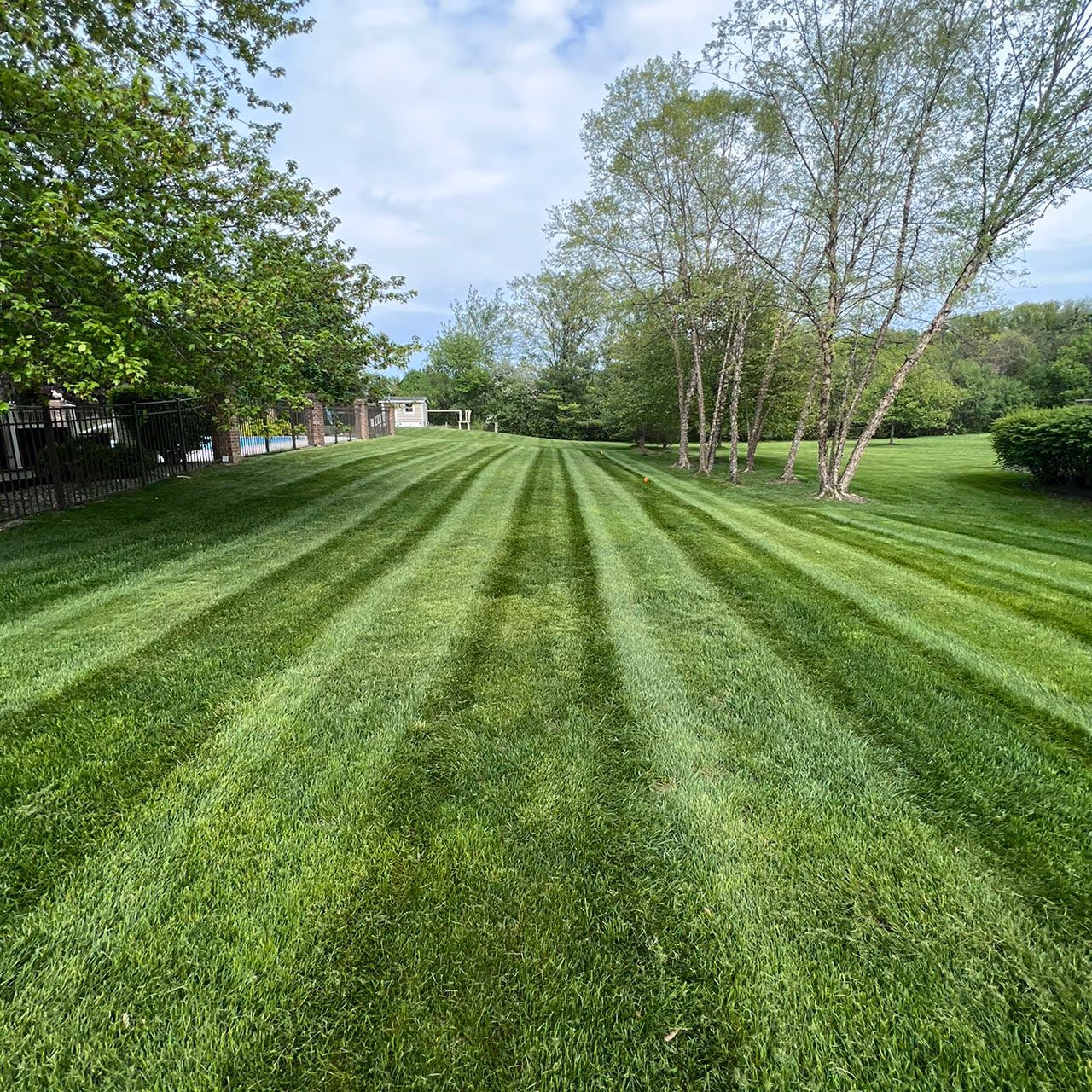 Lawn fertilization program Berkley MI Owens Property Managers