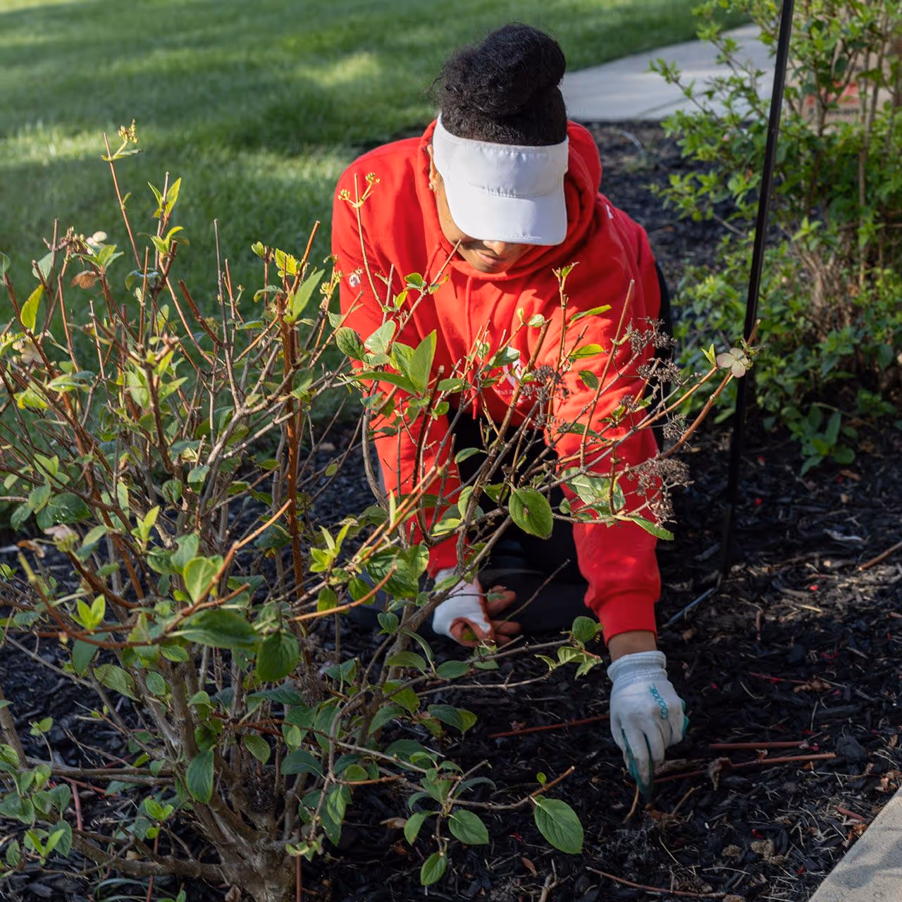 Seasonal flower planting Royal Oak MI landscaping near me